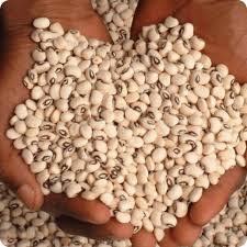 Beans7777