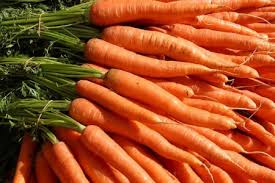 Carrot222