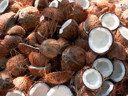 Cocoanutfarm