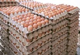 Eggcrate222
