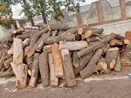 Firertwood