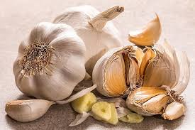 garlic222