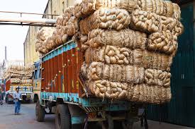 Jute734