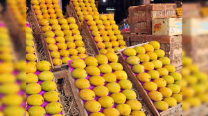 Mango333