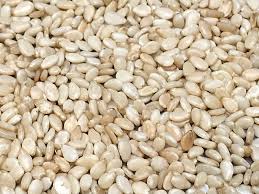 Sesame3334