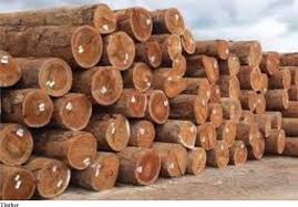 Timber222