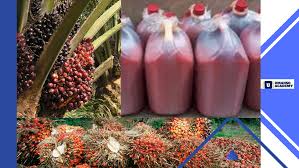 imagepalmoil1