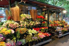 Theflower2