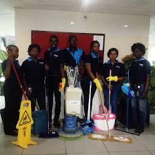 cleaningpics1 