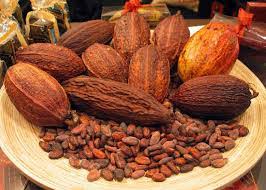 Cocoa333